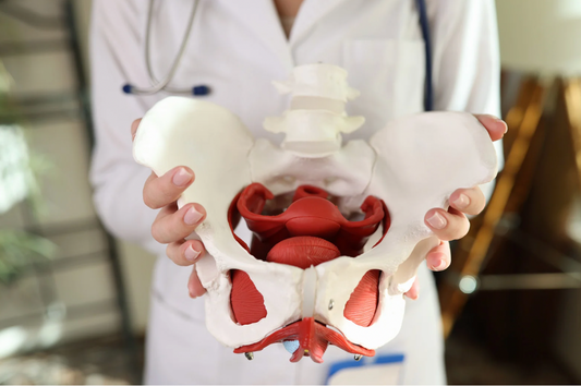 How to choose the right Pelvic Floor Physical Therapist for you?